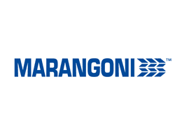 AZUR Netzwerk Partner Marangoni Logo