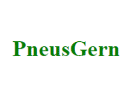AZUR Netzwerk Partner PneusGern Logo